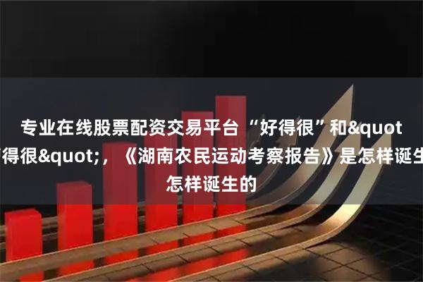 专业在线股票配资交易平台 “好得很”和"糟得很"，《湖南农民运动考察报告》是怎样诞生的