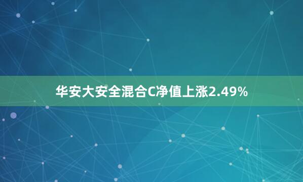 华安大安全混合C净值上涨2.49%