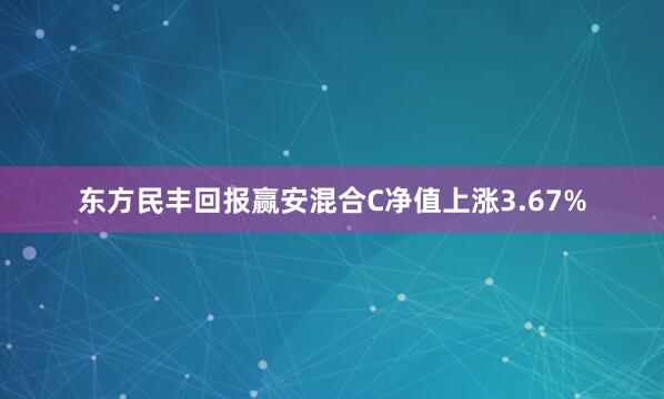 东方民丰回报赢安混合C净值上涨3.67%