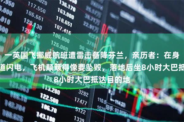 一英国飞挪威航班遭雷击备降芬兰,亲历者:在身旁看到一道闪电,飞机颠簸得像要坠毁,落地后坐8小时大巴抵达目的地