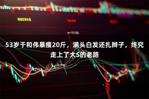 53岁于和伟暴瘦20斤，满头白发还扎辫子，终究走上了大S的老路