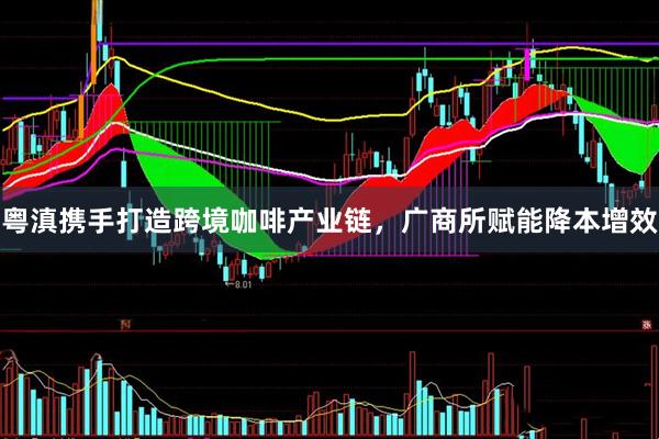 粤滇携手打造跨境咖啡产业链，广商所赋能降本增效