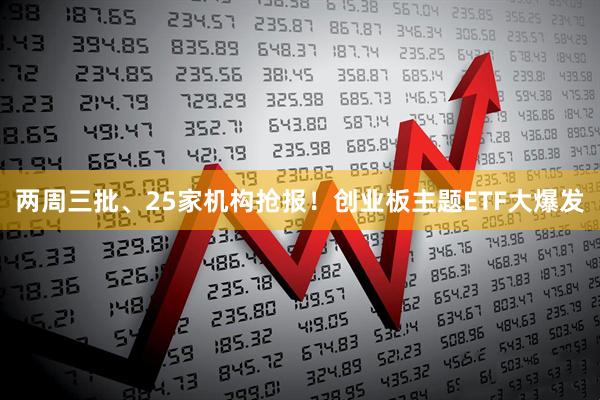 两周三批、25家机构抢报！创业板主题ETF大爆发