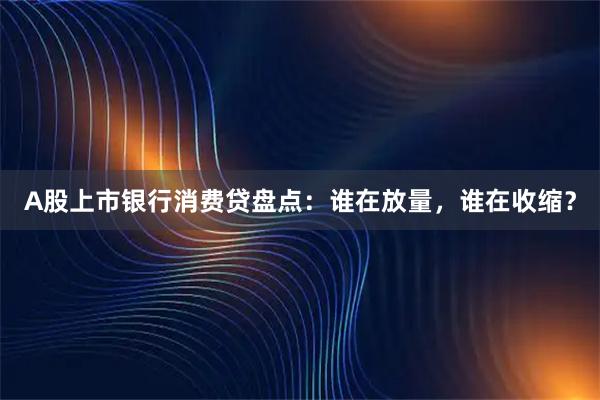 A股上市银行消费贷盘点：谁在放量，谁在收缩？