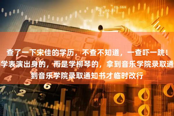 查了一下宋佳的学历，不查不知道，一查吓一跳！她竟然不是科班学表演出身的，而是学柳琴的，拿到音乐学院录取通知书才临时改行